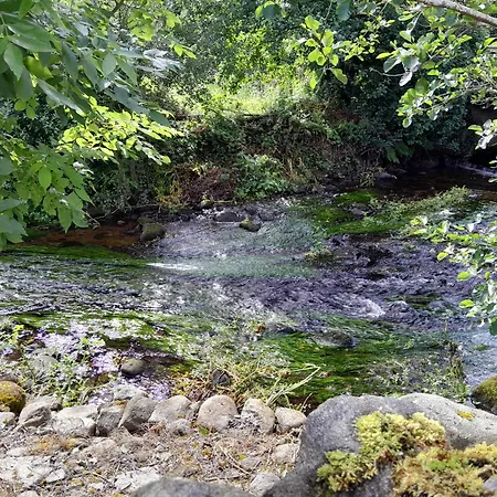 Natural Campingplads *
