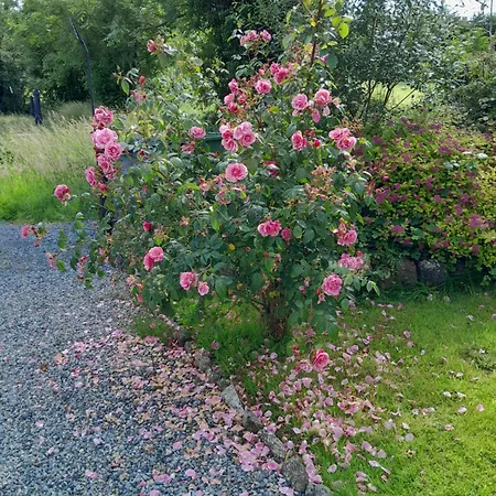 Κάμπινγκ Natural *