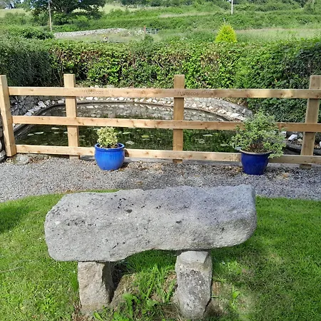 Campingplads Natural St Mullins